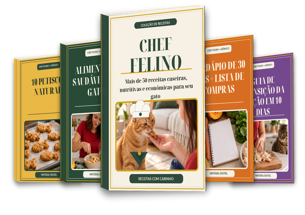 Mockup do kit completo Chef Felino com os e-books principais e os quatro bônus em pé